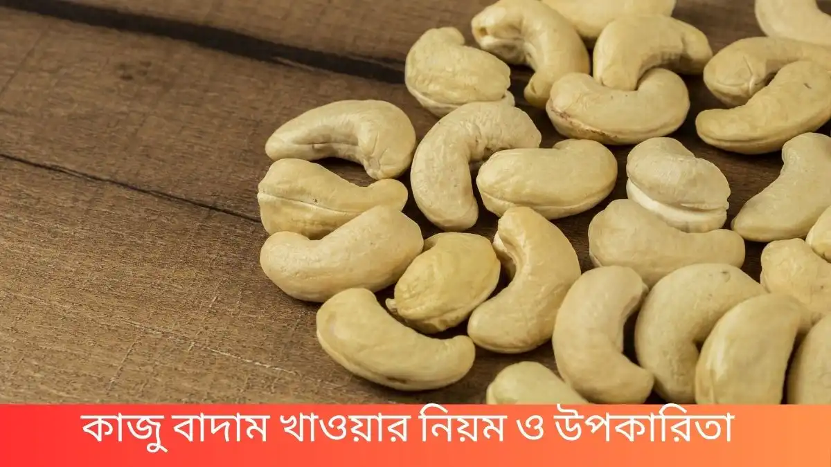 কাজু বাদাম খাওয়ার নিয়ম ও উপকারিতা