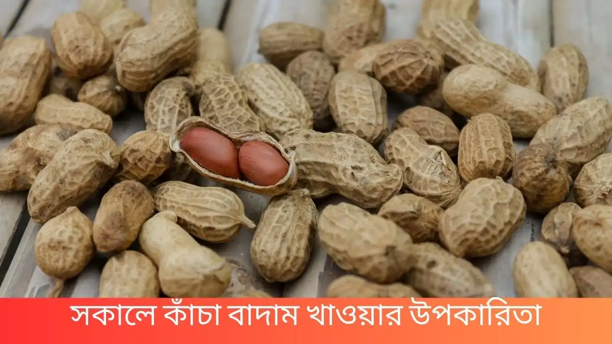 সকালে কাঁচা বাদাম খাওয়ার উপকারিতা